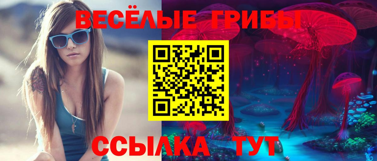 Псилоцибиновые грибы GOLDEN TEACHER Магнитогорск